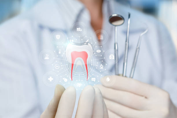 Spencerport, NY  Holistic Dental Services Company